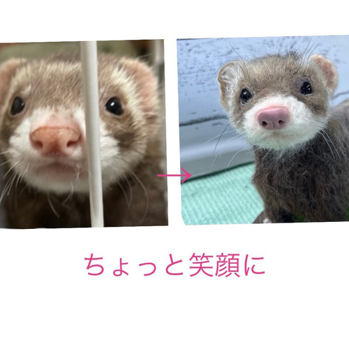 抱っこして！フェレット 羊毛フェルト うちの子オーダー