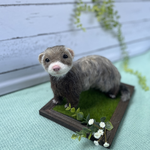 オーダー フェレット♡羊毛フェルト♡うちの子みたい♡再現 羊毛