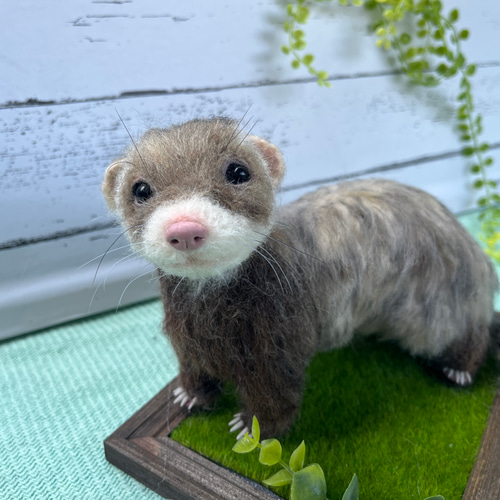 オーダー フェレット♡羊毛フェルト♡うちの子みたい♡再現 羊毛