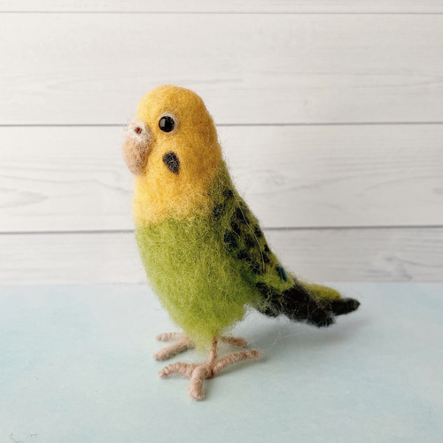 羊毛フェルト セキセイインコ 羊毛フェルト maron 通販 14084487