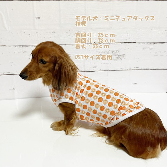接触冷感タンクトップ フルーツ柄 【オレンジ】 Dog 犬服 ドッグウェア 夏 クール オレンジ 8枚目の画像