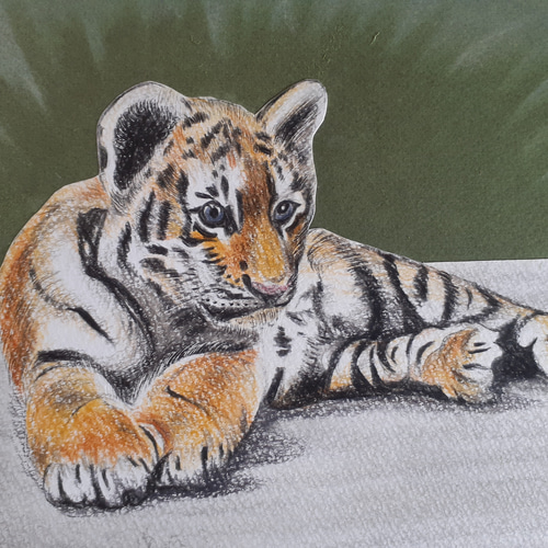 3D色鉛筆画アート Tiger 絵画 makochin 通販｜Creema(クリーマ) 14139863