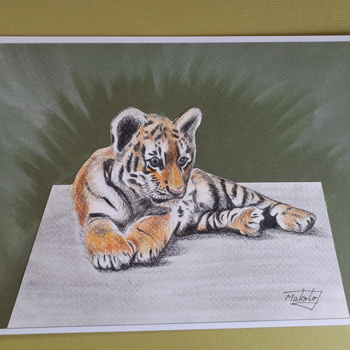 3D色鉛筆画アート Tiger 絵画 makochin 通販｜Creema(クリーマ) 14139863