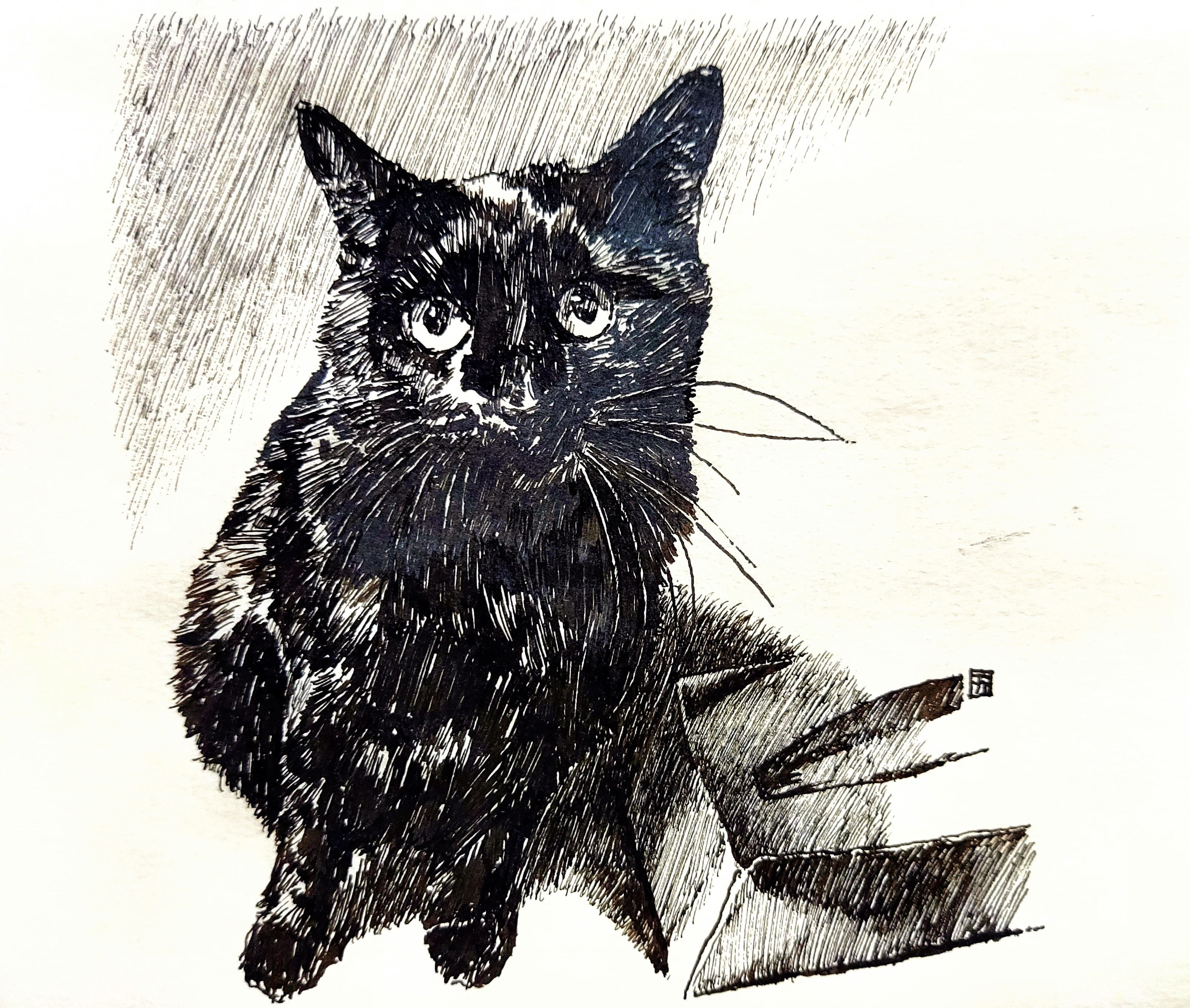 「むくちゃんですけど」ペン画　クロッキー紙