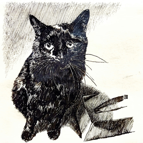 輝く猫　絵画　イラスト　ドローイング 輝く猫 絵画 イラスト ドローイング 絵画