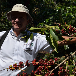 ガテマラの最高峰農園　ガテマラ　サンタ・カタリーナ農園　150g　自家焙煎コーヒー 3枚目の画像