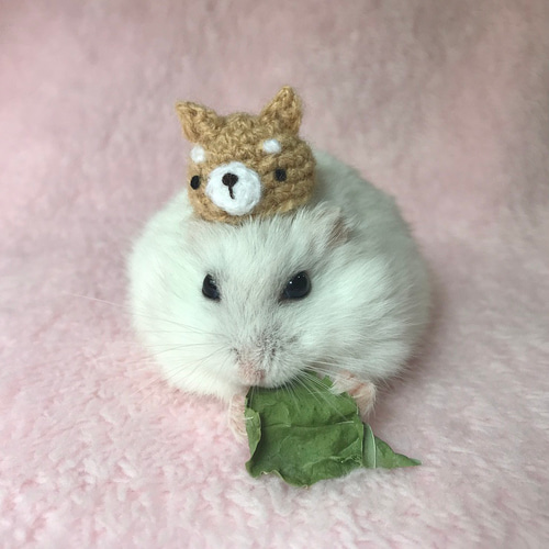 ぬいぐるみ セット いぬ くま ハムスター カピバラ Amazon.co.jp: 100PC ぬいぐるみ カピバラ カピバラくん人形