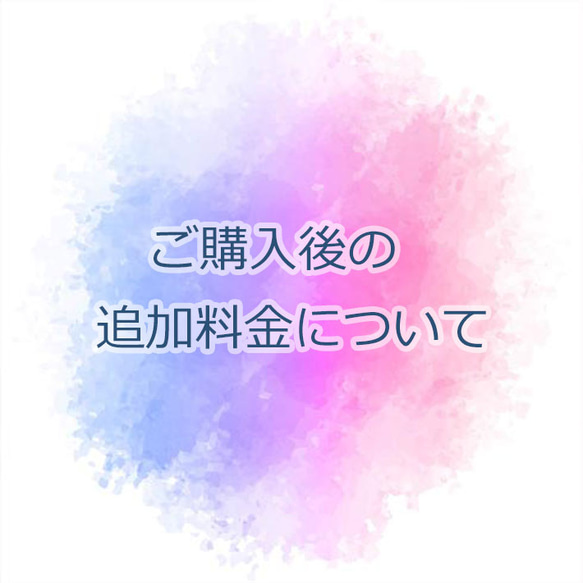 追加料金のページになります1　 1枚目の画像