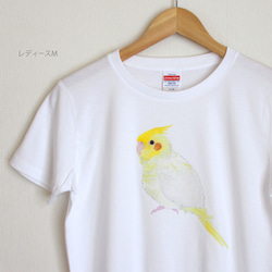 p-jet　オカメインコ （ルチノー）　 Tシャツ　 /  鳥 インコ 1枚目の画像