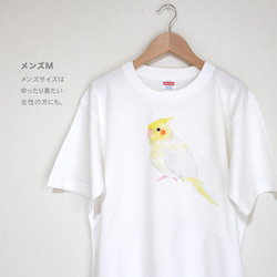 p-jet　オカメインコ （ルチノー）　 Tシャツ　 /  鳥 インコ 6枚目の画像