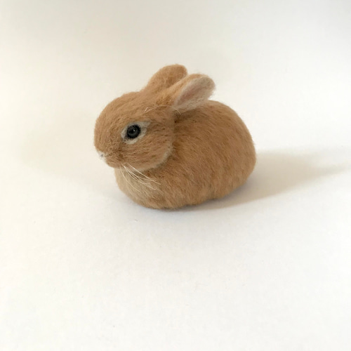 もふっとまるっとうさぎさん〜 うさぎ 羊毛フェルト ネザーランド