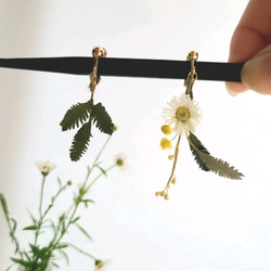 布花 エリゲロン&ミモザ 道草花摘み 小さく揺れるイヤリング 4枚目の画像
