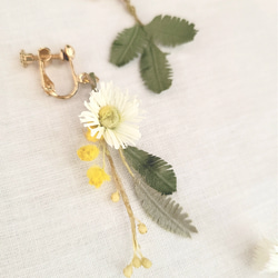 布花 エリゲロン&ミモザ 道草花摘み 小さく揺れるイヤリング 1枚目の画像