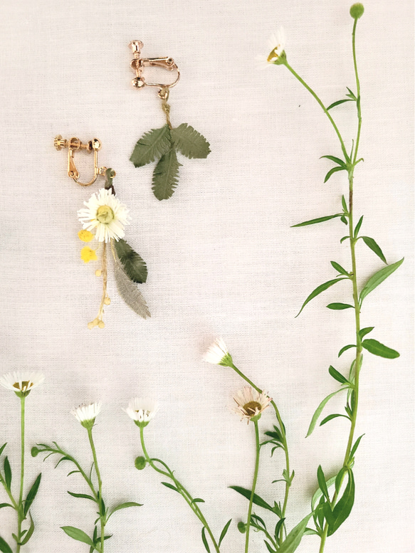 布花 エリゲロン&ミモザ 道草花摘み 小さく揺れるイヤリング 2枚目の画像