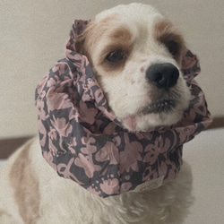 透け感❤︎花柄　ピンク　犬用スヌード　中型犬用スヌード 2枚目の画像