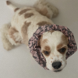 透け感❤︎花柄　ピンク　犬用スヌード　中型犬用スヌード 4枚目の画像