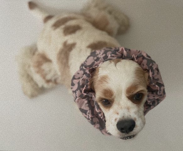 透け感❤︎花柄　ピンク　犬用スヌード　中型犬用スヌード 4枚目の画像