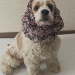 透け感❤︎花柄　ピンク　犬用スヌード　中型犬用スヌード 3枚目の画像