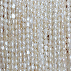 天然石 フォッシルパームルート ペアルース ハート型 天然石