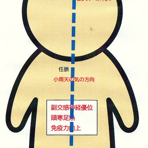 最新自律神経学 Amazon.co.jp: 最新自律神経学 : Japanese Books