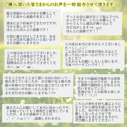 【千年恋結び 本格祈祷】お守り 恋愛成就 片思い 良縁 復縁 結婚 縁繋ぎ 複雑恋愛 不倫 引き寄せ 形代 5枚目の画像