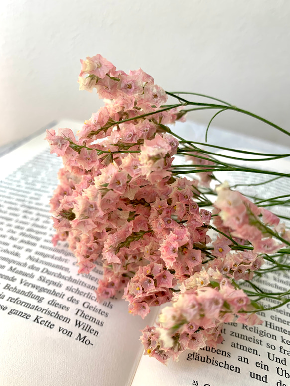 レアです！くすみピンクのハイブリットスターチス 花材 ハンドメイド  