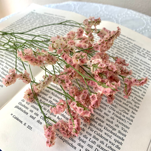 ピンクのリース【ハイブリッドスターチス】ドライフラワー レアです！くすみピンクのハイブリットスターチス 花材 ハンドメイド