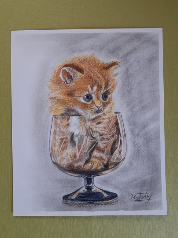 色鉛筆画 チョイ 窮屈にゃん！ 絵画 makochin 通販 14145382｜Creema