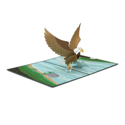 ポップアップグリーティングカード　Eagle 2枚目の画像