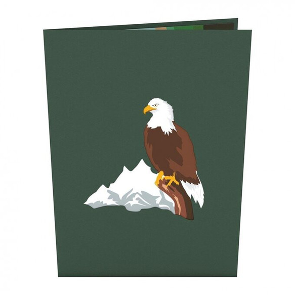 ポップアップグリーティングカード　Eagle 3枚目の画像
