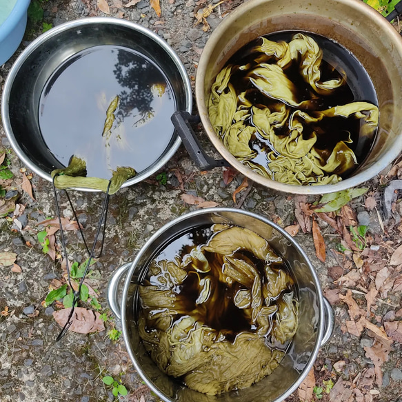 屋久島の草木染めガーゼコットンストール（よもぎ染めグリーン） 15枚目の画像