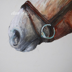 青い目の馬２０２２（高級水彩画用紙、４６ｃｍ×３８ｃｍ、墨、水彩、アクリル、パステル） 3枚目の画像