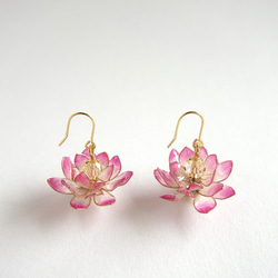 蓮花耳環/無耳洞耳環【七月誕生月花】 第9張的照片