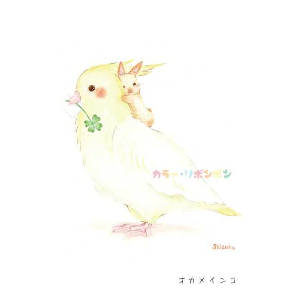 原画『オカメインコ』 3枚目の画像