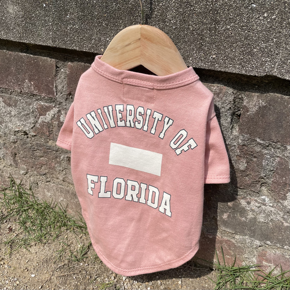 犬服　カレッジTシャツ　ピンク 1枚目の画像