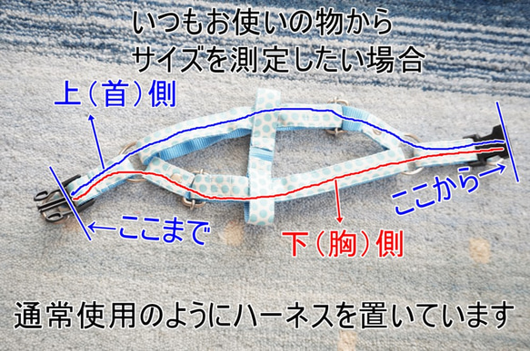 【sora様専用】ハーネスご注文ページ　犬用　足入れハーネス　スイートフラワー 5枚目の画像