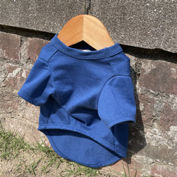 犬服　カレッジTシャツ　ブルー 2枚目の画像