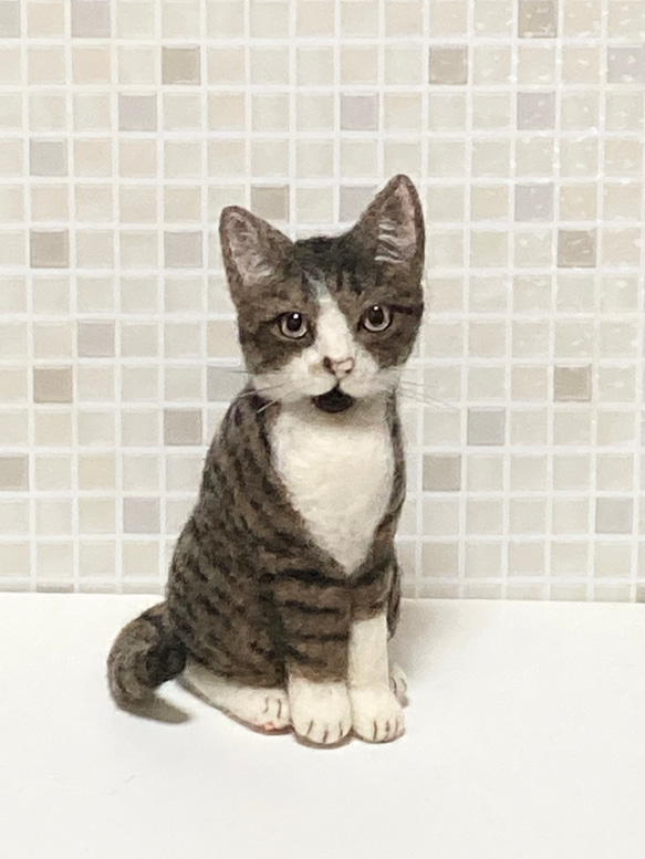 人気のクリスマスアイテムがいっぱい！ Mサイズ 植毛なし サンプルページ キジトラ 猫ちゃん キジ白 その他