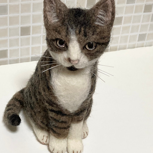 Mサイズ 植毛なし サンプルページ キジトラ 猫ちゃん キジ白