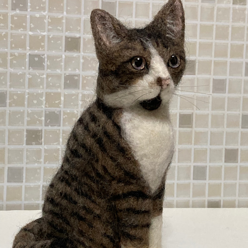 Mサイズ 植毛なし サンプルページ キジトラ 猫ちゃん キジ白