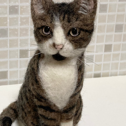 【あす楽対応】 植毛なし Mサイズ サンプルページ キジ白 猫ちゃん キジトラ その他