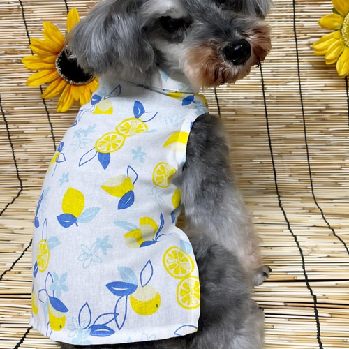 犬服ハンドメイドレモンです。 犬服】レモン柄スタンドカラーてぬぐいシャツ☆(ホワイトor水色