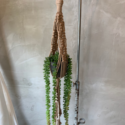 HANGING PLANTER ハンギングプランター 1枚目の画像