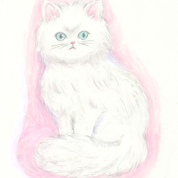 ☆SALE☆ 額装原画 fluffy white cat 2枚目の画像