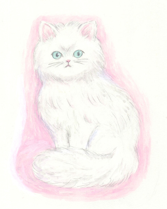 ☆SALE☆ 額装原画 fluffy white cat 2枚目の画像