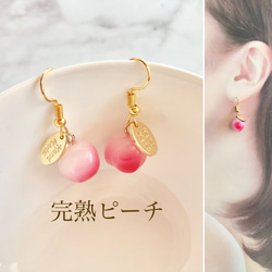 花びら ブラウン 茶色 リング チャーム 大ぶり ピアス