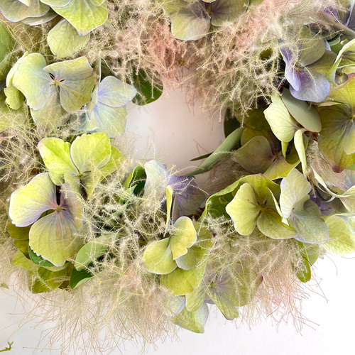 スモークツリーと紫陽花の ドライフラワー ボタニカル リース