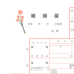  第3張的照片