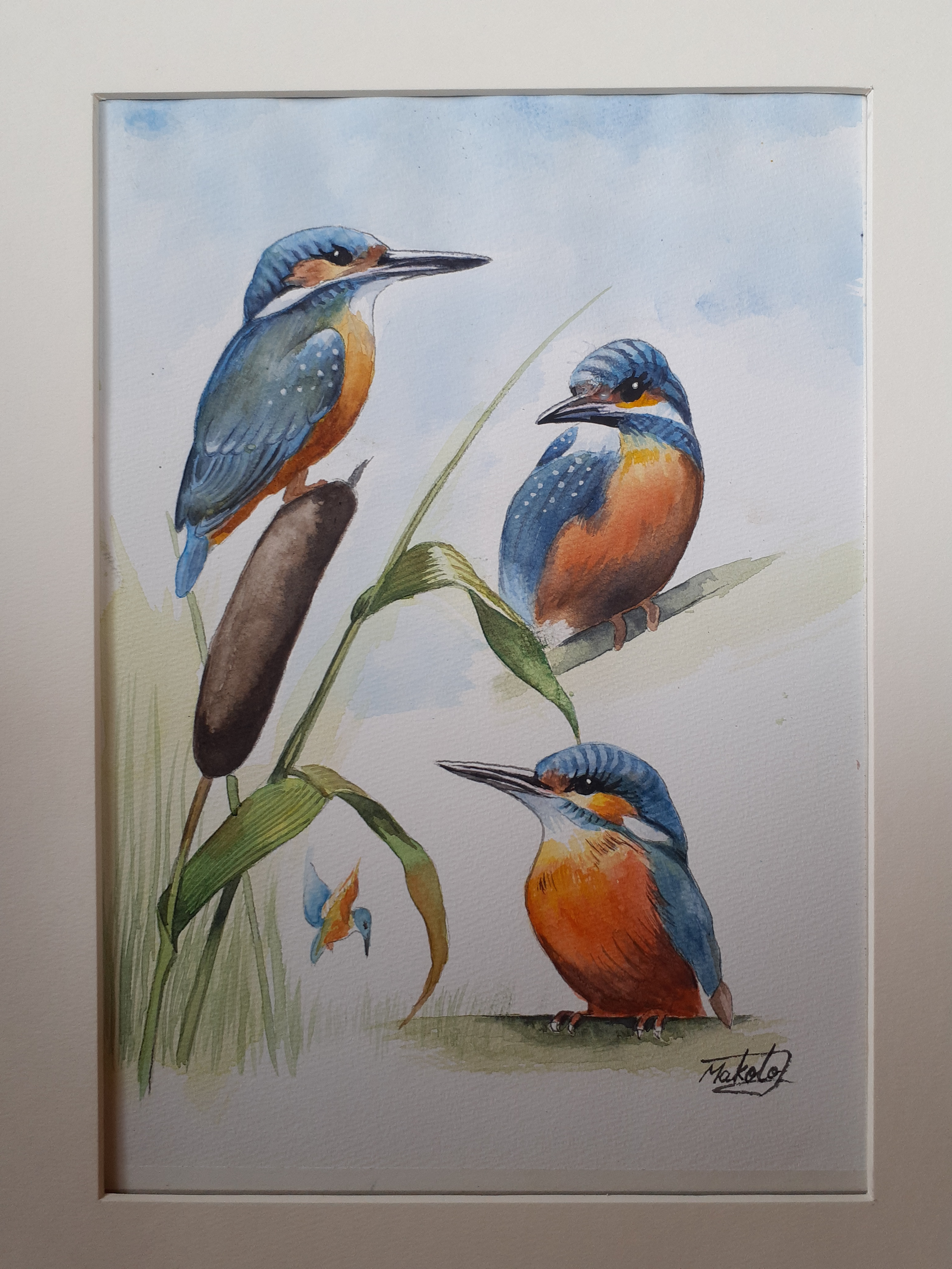 水彩画 カワセミ 絵画 makochin 通販 14149639｜Creema(クリーマ)