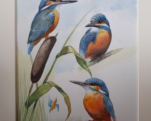 水彩画 カワセミ 絵画 makochin 通販 14149639｜Creema(クリーマ)